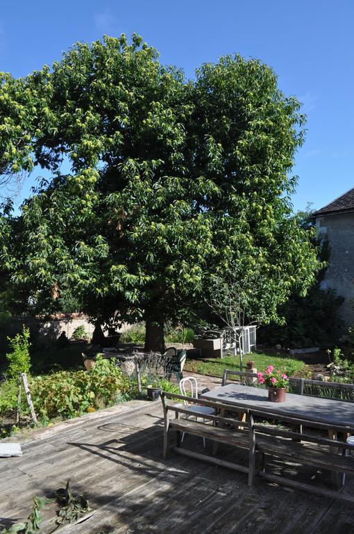 Bed and Breakfast Le Cep En Sancerrois Sancerre Esterno foto