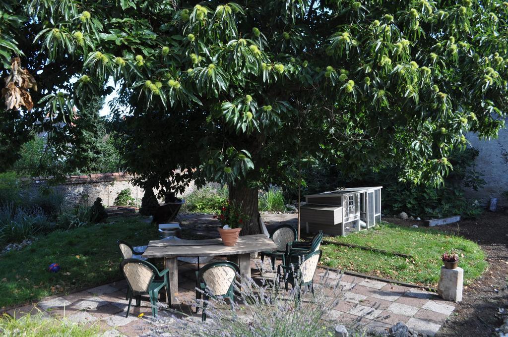 Bed and Breakfast Le Cep En Sancerrois Sancerre Esterno foto